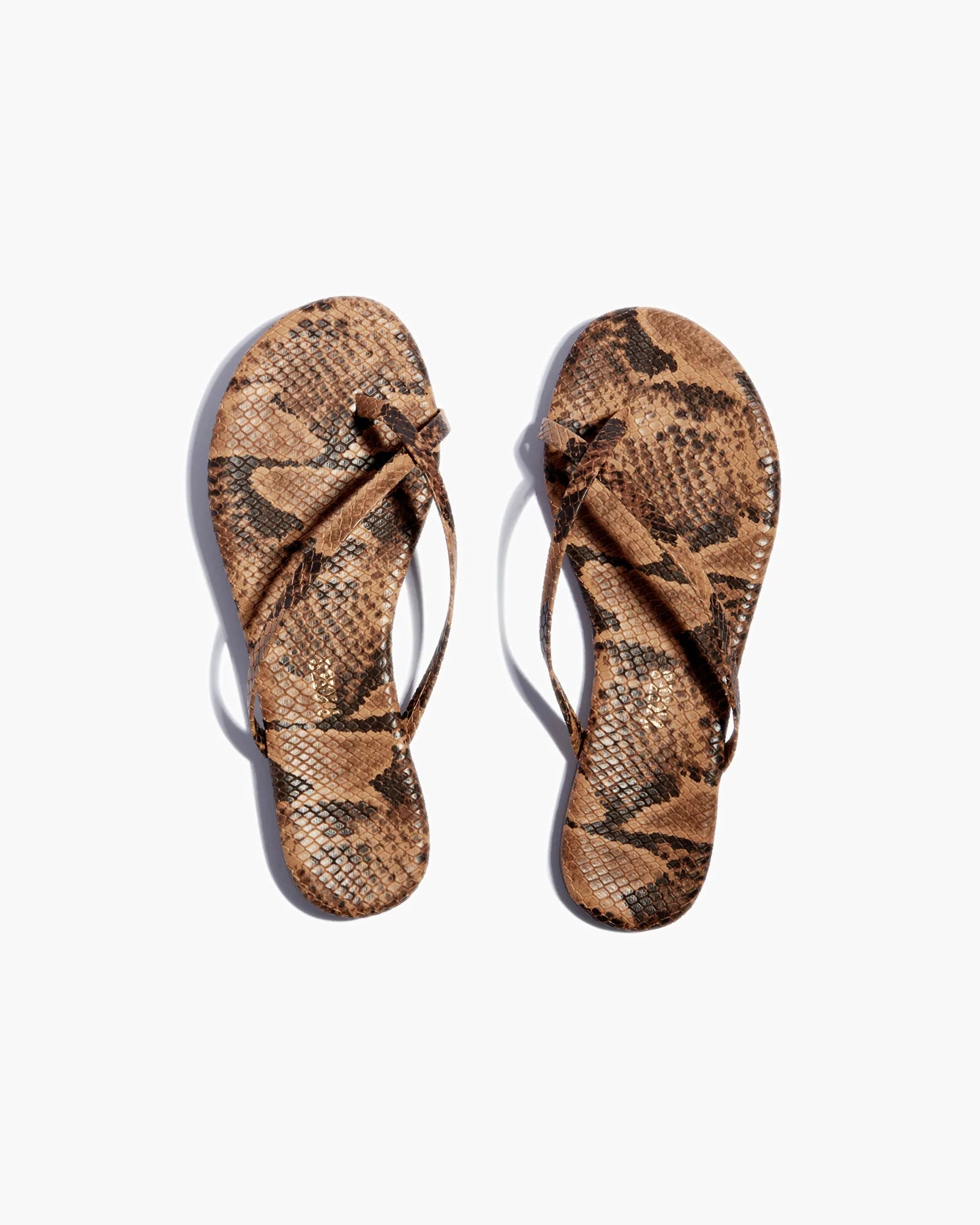 TKEES Riley Vegan Animal Women's Sandals Snake | CZ5103286